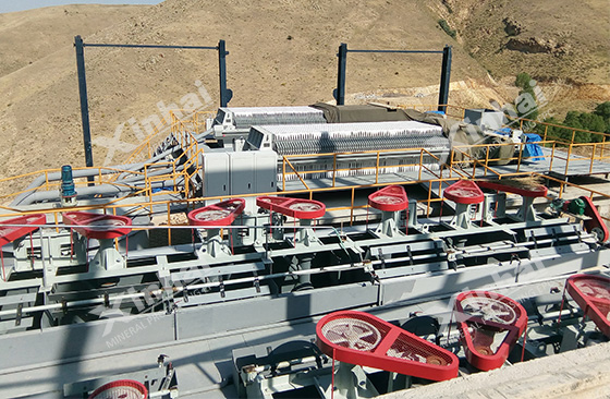 flotation of oxide copper ore tailings